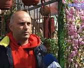 Экзотические и обычные. Садовый центр "Саженцы в Орле" дает возможность не только купить приглянувшуюся культуру, но и посмотреть, как это все растет