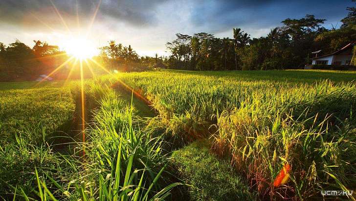 Новая рабочая неделя встречает орловчан солнцем