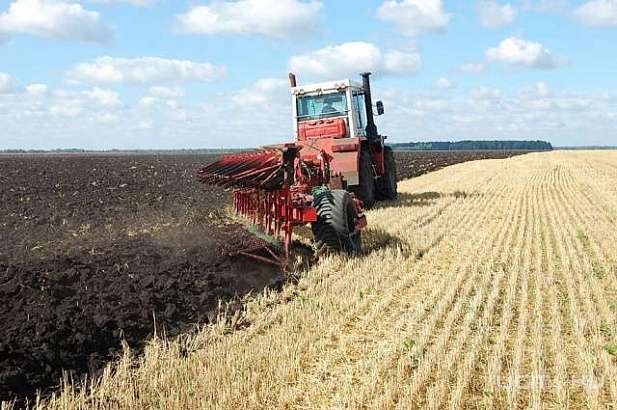 На Орловщине завершаются осенние полевые работы