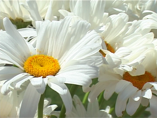 Ретро FM : от влюбленности до любви 