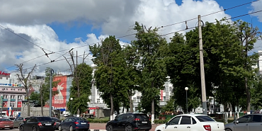 Некоторые деревья в Сквере Танкистов в Орле не выдержали усиленного «кронирования» … и засохли