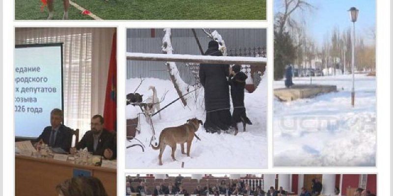 Приют силами монахинь, чиновники взялись за рекламные баннеры, областные депутаты спорили по разным вопросам