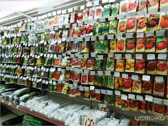 Изъяты семена сомнительного качества