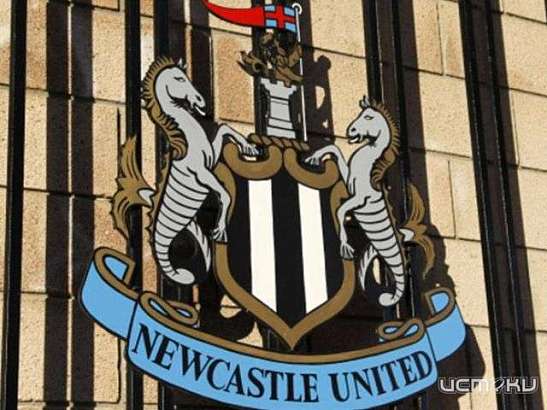 Букмекерская контора 1xBet: ставки в АПЛ на Ньюкасл