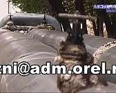 Горсовет одобрил ремонт парка Победы, а Вдовин со страхом проехал в маршрутке