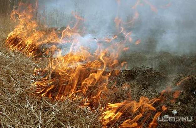 С 30 апреля в Орловской области будет запрещено сжигать сухую траву