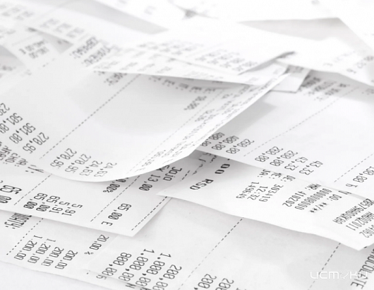 Почти 1,6 млн чеков выдано в Орловской области с начала года