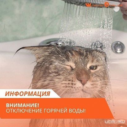 У орловчан вновь будет отключена горячая вода  У орловчан вновь будет отключена горячая вода