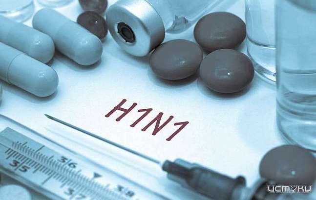 На Орловщине свирепствует свиной грипп