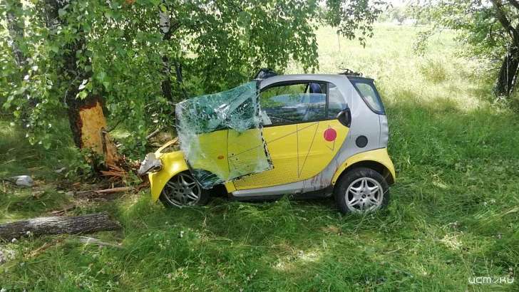 На Орловщине «Смарт» угодил в кювет и врезался в дерево