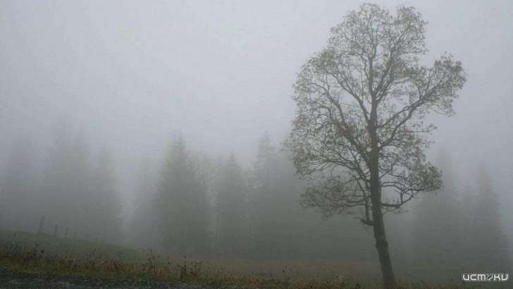 Под влиянием циклона: в среду орловчан ждут хмурое небо и туман