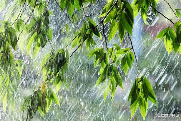 Солнце и немного дождя ждут сегодня орловчан 