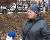 В Орле идёт массовая опиловка деревьев, которой очень недовольны жители. Так что же это: вандализм или омоложение зелёных "лёгких" города?