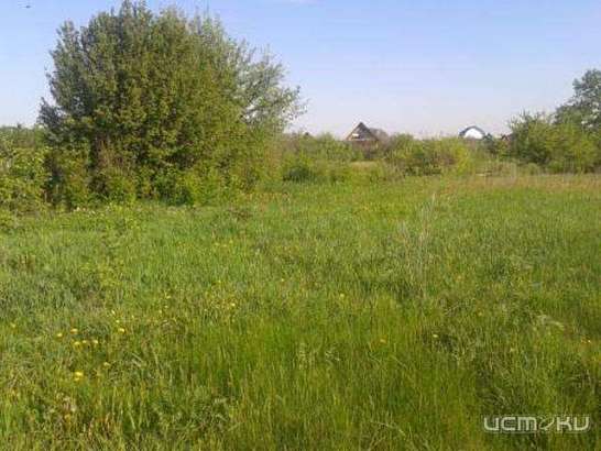 Для особой экономической зоны в Орловской области будут искать другой земельный участок 