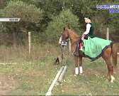 Орловчан приглашают на скачки