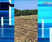 Орловскую область ночью пытались атаковать украинские БПЛА, жители с. Спасское Орловского МО пожаловались Путину на Клычкова, для орловских бойцов СВО...