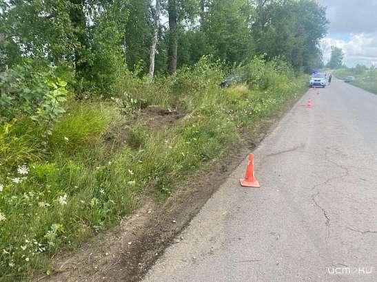 Под Орлом иномарка улетела в кювет. Пострадали дети