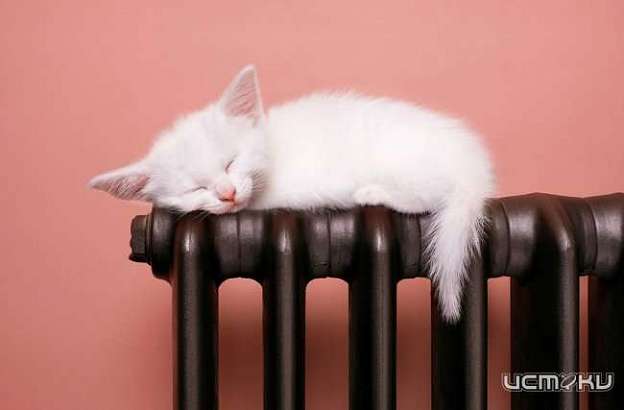 С сегодняшнего дня начнёт поступать тепло в жилые дома - власти