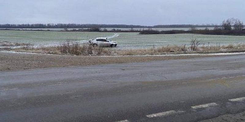 Под Орлом из-за лисы автомобиль улетел в кювет 