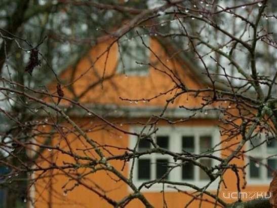 В Орле полицейские задержали подозреваемого в серии дачных краж