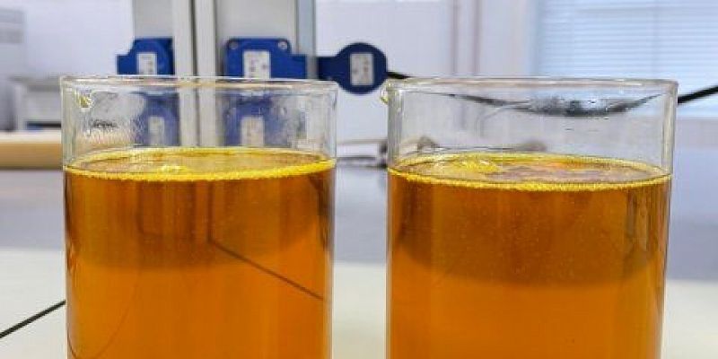 экспорт Орловское соевое масло экспортировали в Индию