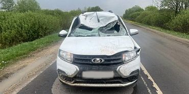 В Орловской области "Ларгус" столкнулся с крупным животным на трассе 