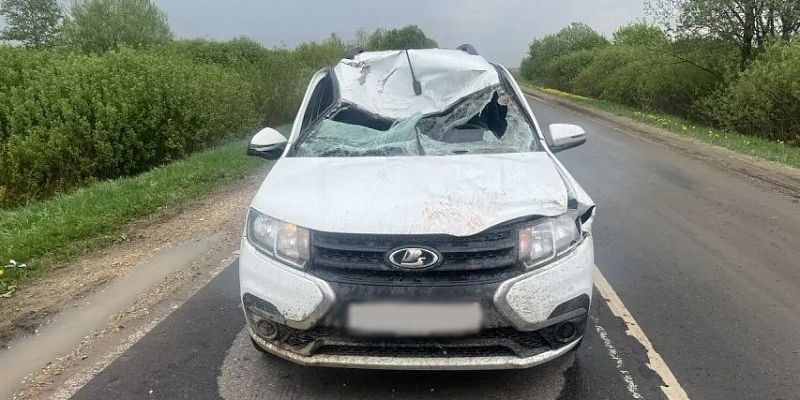 В Орловской области "Ларгус" столкнулся с крупным животным на трассе 