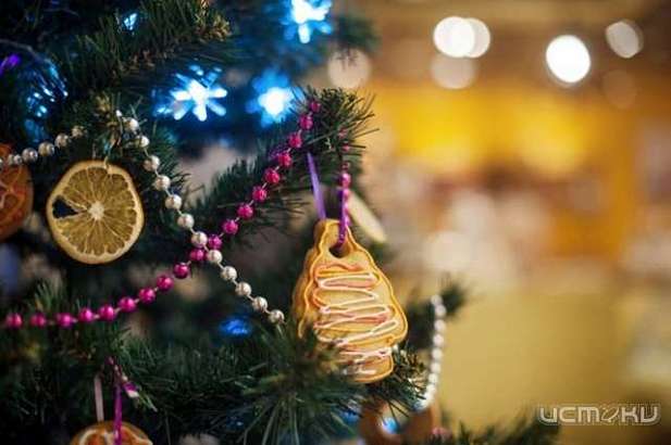 Отдыхать так отдыхать! Новогодние каникулы россиян продлятся десять дней