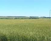 Пенсионеров могут освободить от платы за капремонт. На заседании облсовета приняли ряд важных поправок