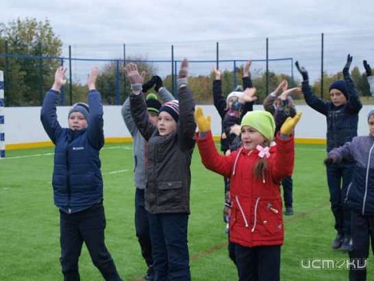 В орловском селе открыли футбольное поле. Фото 
