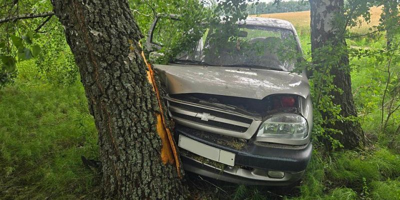 Смертельное ДТП в Урицком районе: водитель погиб при ударе авто о дерево