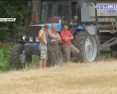 На площади Жукова вандалы отравили 40 новых туй, масочный режим продлен до конца июня, а орловчане собрали военнослужащим на Украину посылку весом в 3...