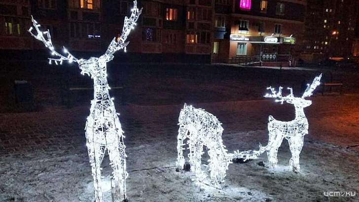 В Зареченском микрорайоне вновь поселились олени, пострадавшие прошлой зимой