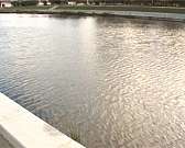 "Ржавые слезы" юбилейных набережных. В Орел приехал проектировщик юбилейного объекта