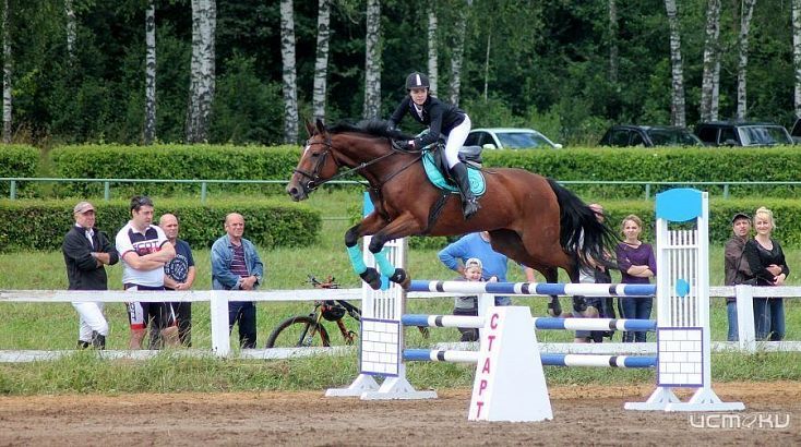 Конно - спортивная школа "Ледно" примет Первенство Орловской области по конному спорту