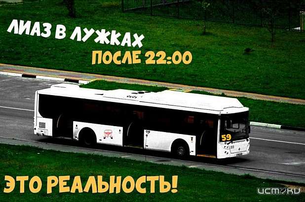 В Орле МУП "ТТП" продлило время работы муниципальных автобусов В Орле МУП "ТТП" продлило время работы муниципальных автобусов