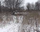 Устно старое убийство