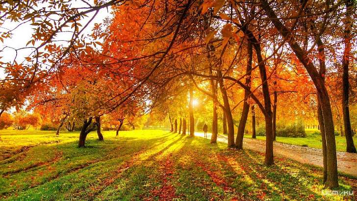 Аномальный октябрь: сегодня в Орле снова до +20 °C 