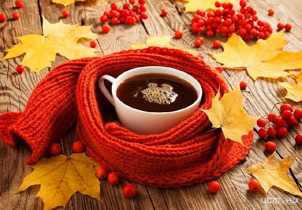 В Орел пришло тепло. Правда, ненадолго... 