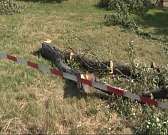 За год более 300 орловчан погибли от отравления алкоголем, а в Силикатном пруду снова утонул человек. Новости за 90 секунд