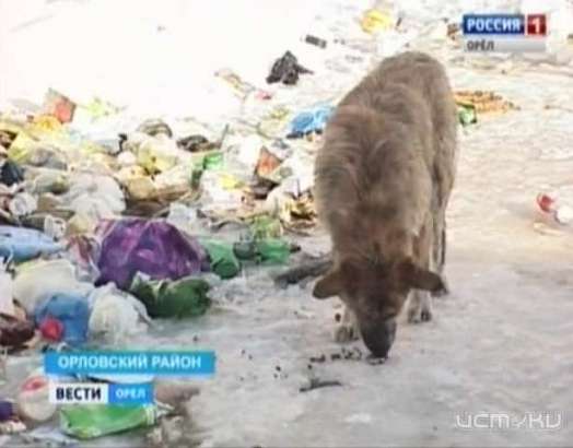 В Орловском поселке образовалась свалка из-за отсутствия подрядчика 