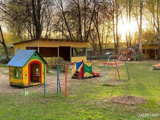 Орловские спасатели уничтожили осиное гнездо в детском саду