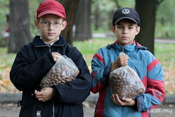 Орловских школьников приглашают принять участие в региональной экологической акции «Собери жёлуди-сохрани лес»