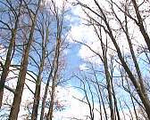 День чистоты. В Орле состоялся общегородской экологический субботник