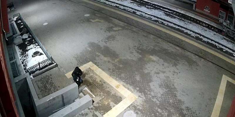 После кражи сумки в поезде житель Орловщины засветился на видео