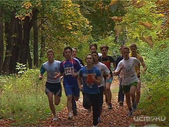Школьники начинают с кросса