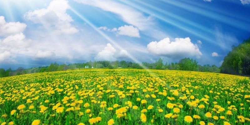 Суббота порадует орловчан солнцем и жарой