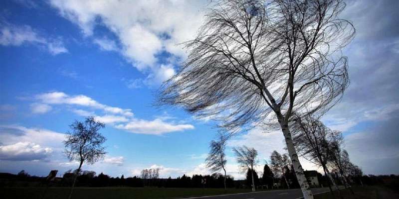 Из-за ветра на Орловщине вновь объявлен желтый уровень погодной опасности