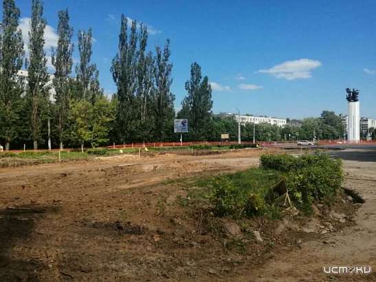 В Орле выявлены нарушения при вырубке деревьев