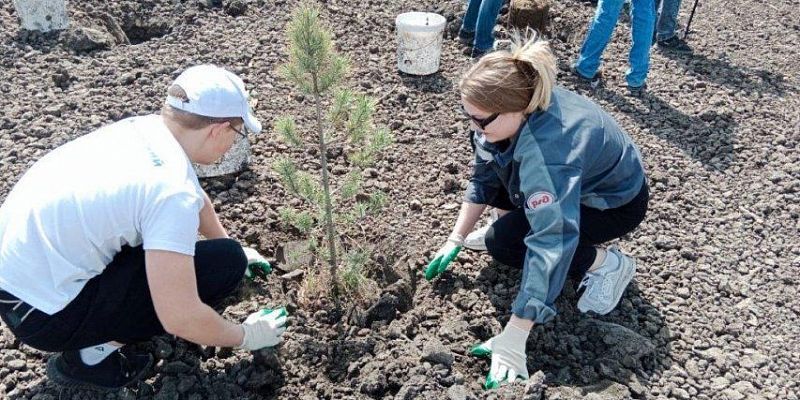 Более 5 га прилегающих территорий очищено железнодорожниками в Орловской области в текущем году